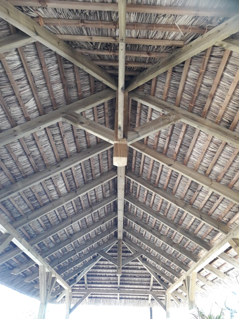 Gallery22 Image22